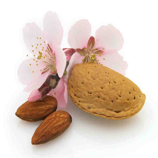 Almond Milk Fragrance Oil