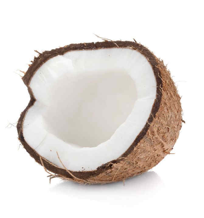 Coconut Fragrance Oil