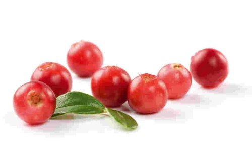 Cranberry Fragrance Oil