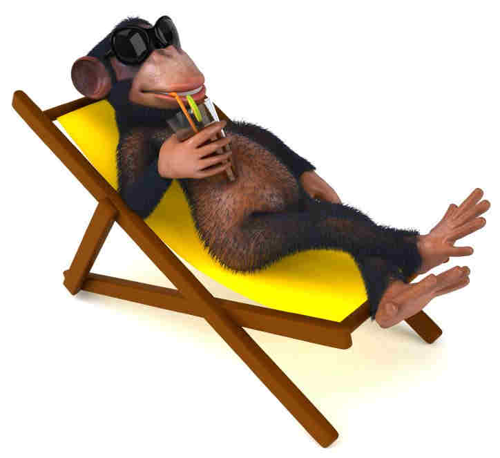 Jungle Monkey Juice Fragrance Oil