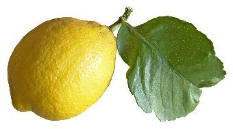 Lemon Essential Oil