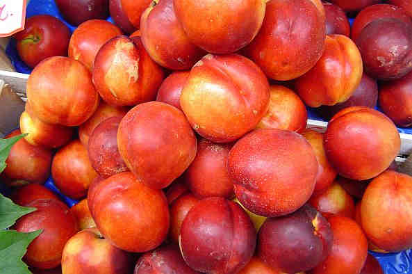 Nectarine & Honey Blossom Fragrance Oil
