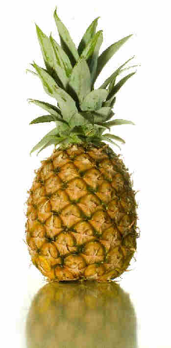 Pineapple Fragrance Oil - 25% OFF while stocks last