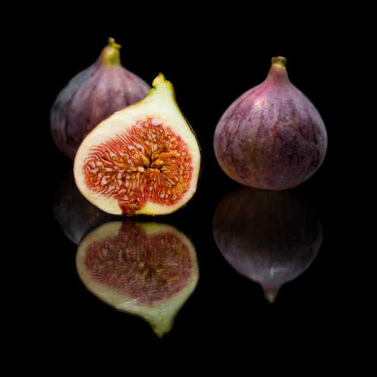 Wild Fig & Cassis Fragrance Oil