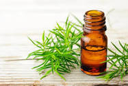 Tea Tree fragrance oil