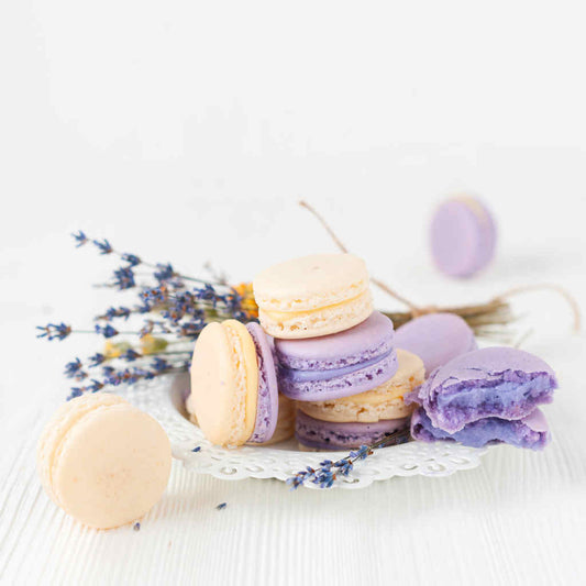 Vanilla Bean & Lavender Fragrance Oil